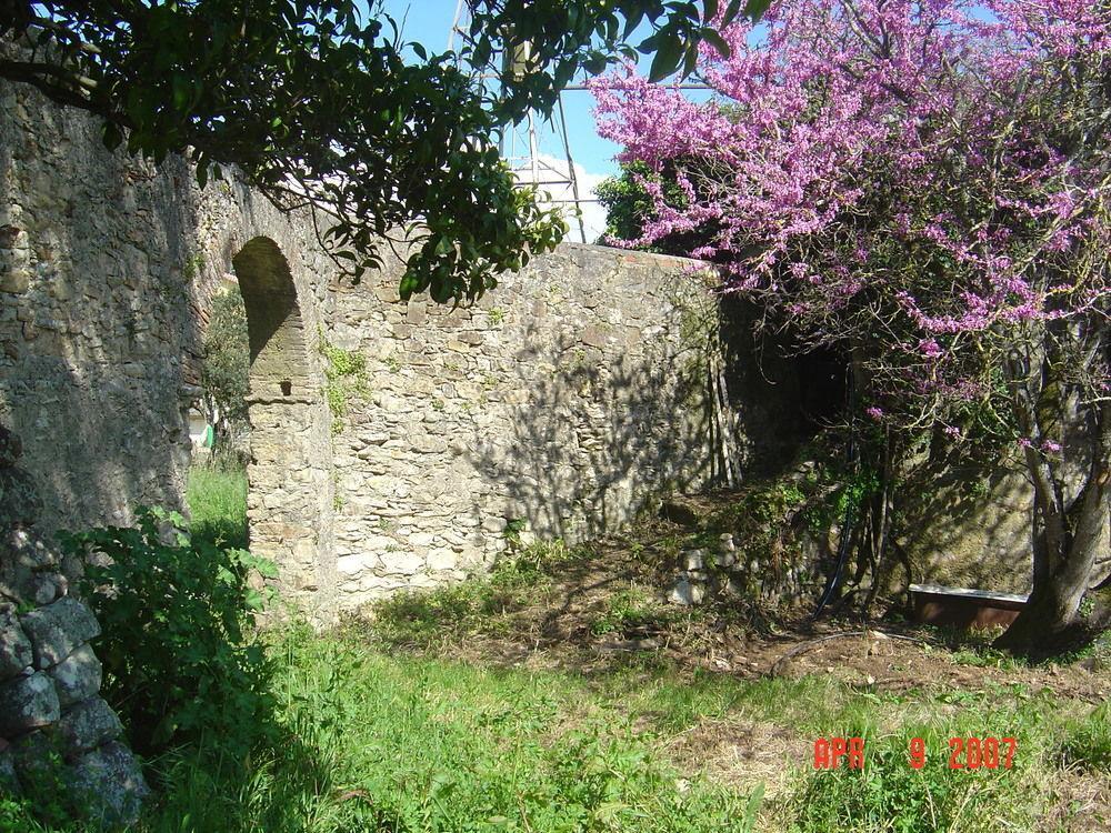 לינה וארוחת בוקר סינטרה Quinta Do Scoto מראה חיצוני תמונה