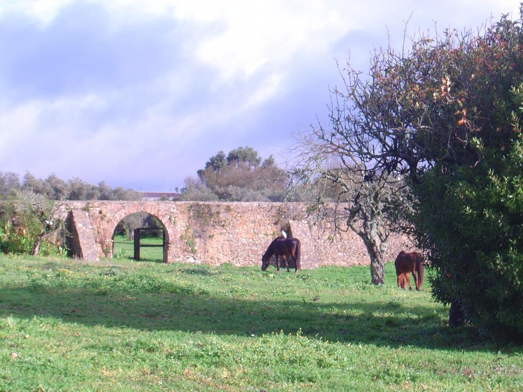 לינה וארוחת בוקר סינטרה Quinta Do Scoto מראה חיצוני תמונה